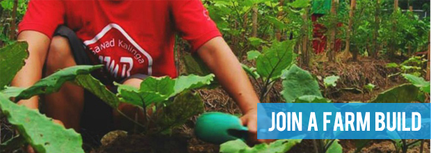 Get your hands dirty in our backyard farm plots