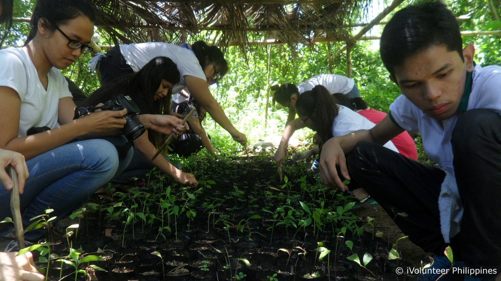 10 Reasons to&nbsp;Volunteer